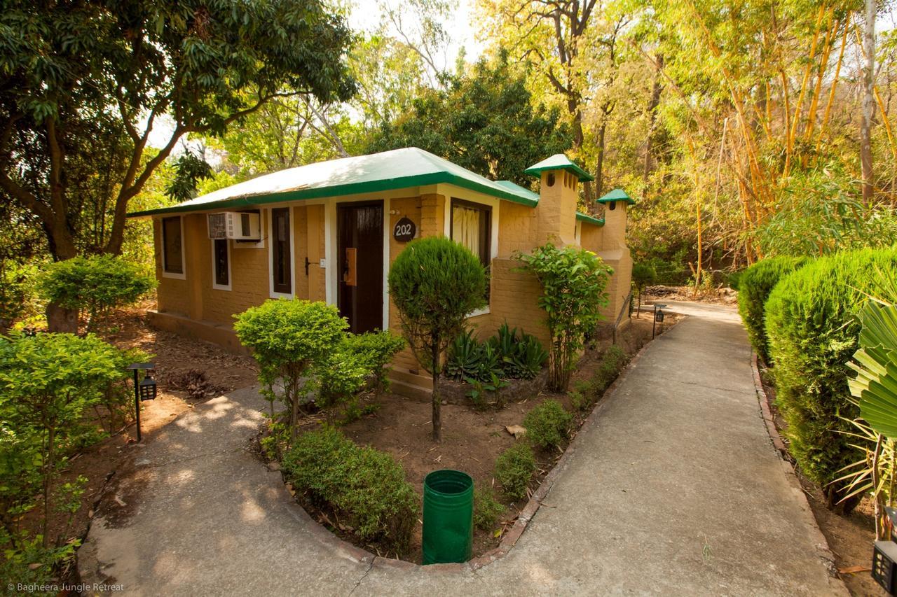 Bagheera Jungle Retreat Resort Ramnagar  Esterno foto
